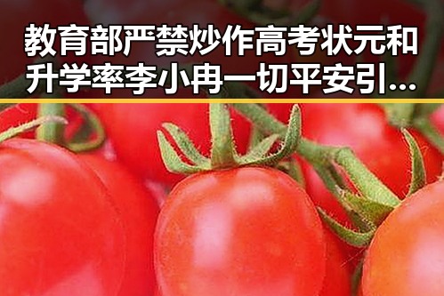 教育部严禁炒作高考状元和升学率 李小冉一切平安引发网友关注