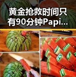 黄金抢救时间只有90分钟Papi酱带货产品曝翻车品牌紧急检测
