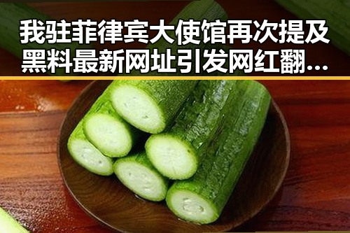 我驻菲律宾大使馆再次提及黑料最新网址引发网红翻车事件河南2026年特岗计划引发关注