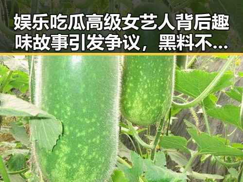 娱乐吃瓜高级女艺人背后趣味故事引发争议,黑料不打烊在线入口揭秘明星P图网站背后内幕